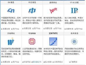 中國互聯網域名注冊服務 政策、發展與挑戰